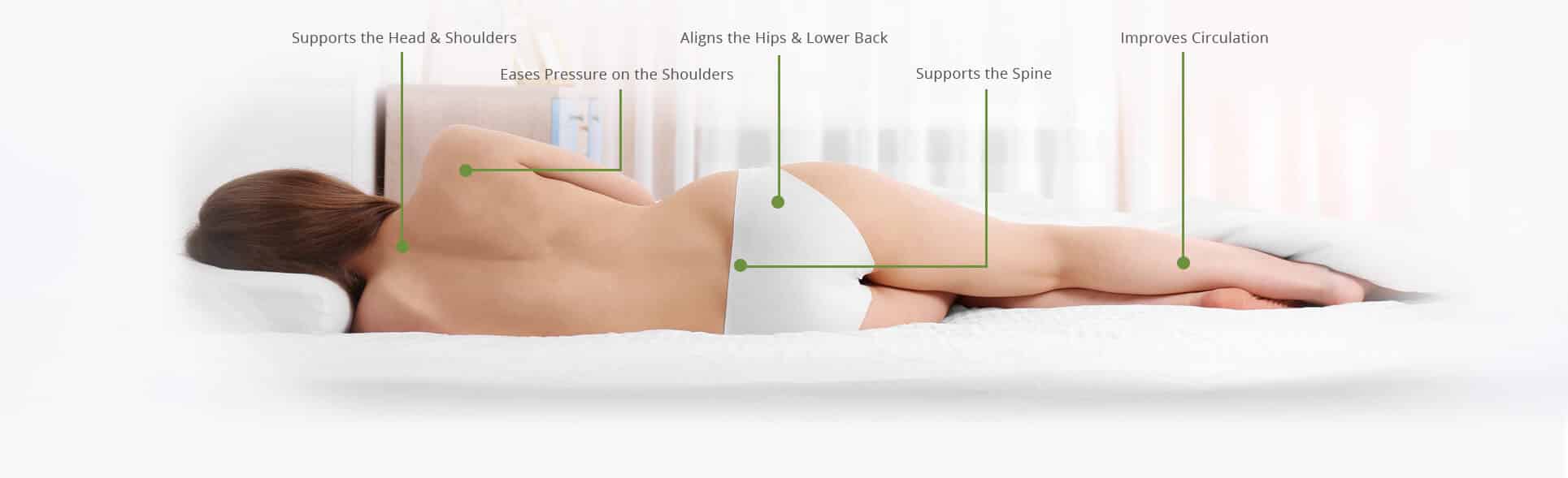 latex foam body support